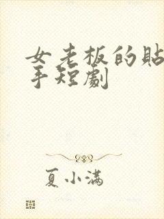 女老板的贴身高手短剧