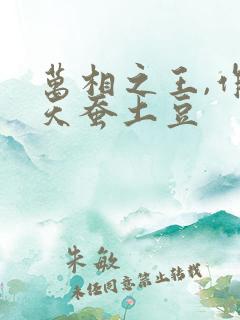 万相之王,作者天蚕土豆