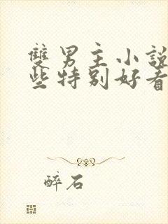 双男主小说有哪些特别好看的甜文