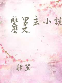 双男主小说是什么文