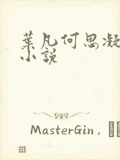 叶凡何思凝七月小说