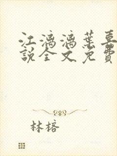 江漓漓叶嘉衍小说全文免费阅读