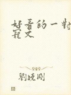 好看的一对一甜宠文