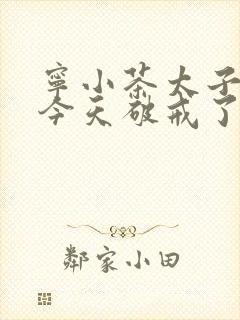 宁小茶太子殿下今天破戒了吗免费阅读