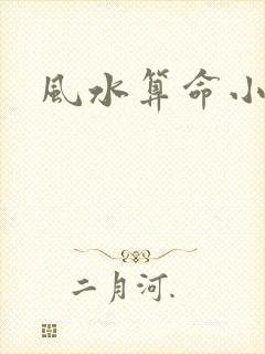 风水算命小说