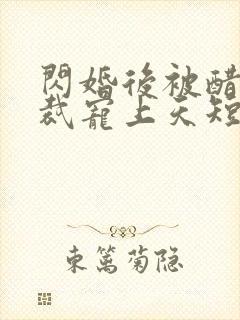 闪婚后被醋王总裁宠上天短剧免费观看