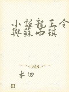 小说龙王令陈平与苏雨琪