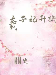 太子妃升职记下载