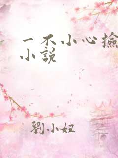 一不小心捡到爱小说