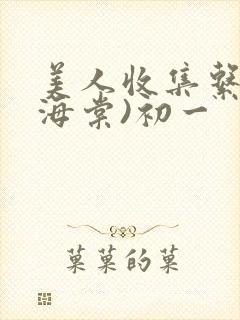 美人收集系统(海棠)初一