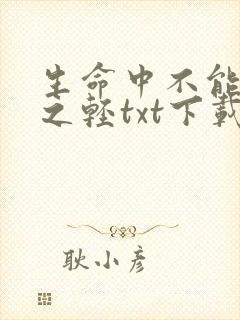 生命中不能承受之轻txt下载