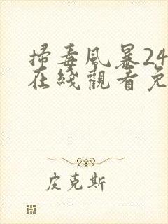 扫毒风暴24集在线观看免费版高清