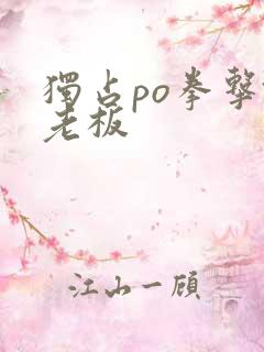 独占po拳击馆老板