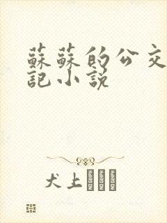 苏苏的公交车日记小说