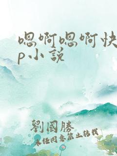 嗯啊嗯啊快点np小说