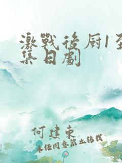 激战后厨1至5集日剧