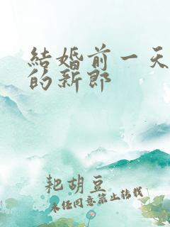 结婚前一天出轨的新郎