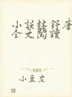 小说林舒唐亦琛全文阅读