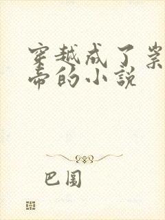 穿越成了崇祯皇帝的小说