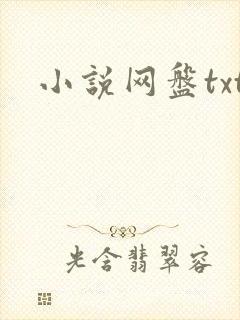小说网盘txt