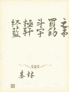 终极斗罗之我是蓝轩宇的弟弟