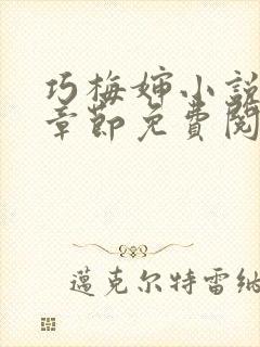 巧梅婶小说最新章节免费阅读