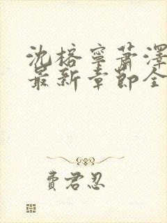 沈榕宁萧泽小说最新章节全文阅读