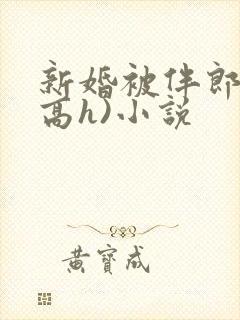 新婚被伴郎c(高h)小说