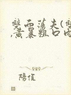 双面荡夫(双性,黄暴粗口肉合集