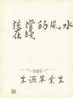 狡猾的风水相师在线