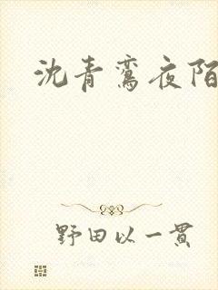 沈青鸾夜陌凌