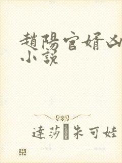 赵阳官婿凶猛的小说