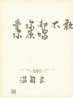 爱你却不敢告诉你原唱