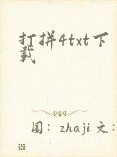 打拼4txt下载