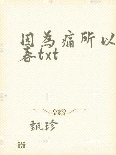 因为痛所以叫青春txt