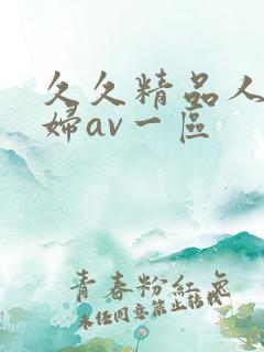 久久精品人妻少妇av一区