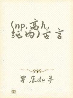 (np,高h,纯肉)古言