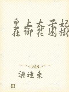 皇上太子妃沈音在御花园树上