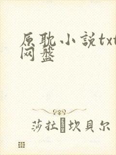 原耽小说txt网盘