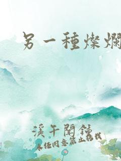 另一种灿烂生活