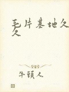 毛片基地久久久久