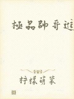 极品帅哥进化史