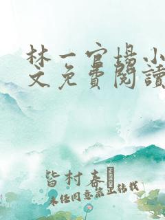 林一官场小说全文免费阅读