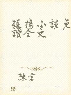 张杨小说免费阅读全文