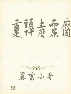 舌头上面麻麻的是什么原因