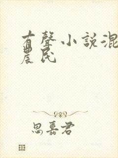 有声小说混世小农民