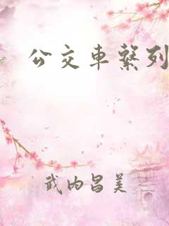 公交车系列说说