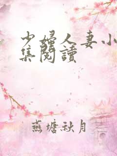 少妇人妻小说合集阅读
