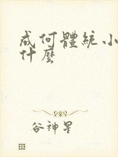 成何体统小说讲什么