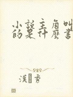 小说主角叫林天的是什么书